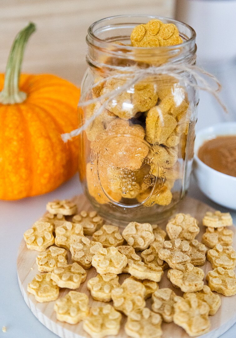 All Natural Organic Grain Free Pumpkin and Peanut Butter Dog Treats